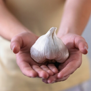 Benefits of Eating Garlic