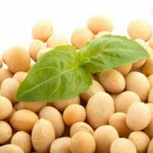 Benefits of Soya Beans